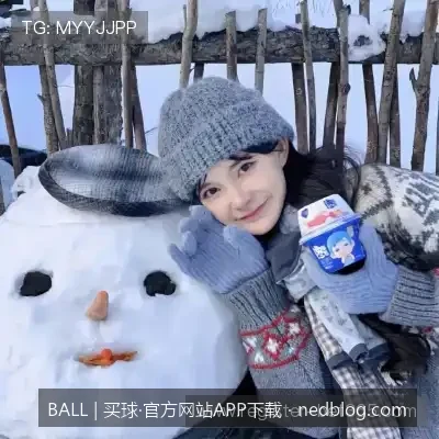 保障资金与隐私安全：选择BALL官方网站进行世界杯投注的四大理由