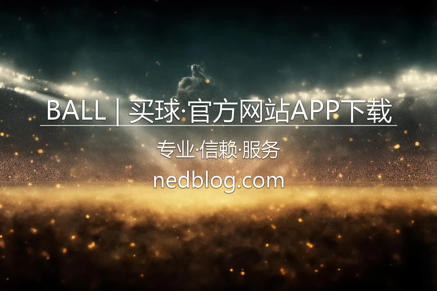 BALL 官方网站美加墨世界杯买球平台 APP 界面演示